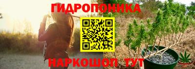 дурь Новодвинск