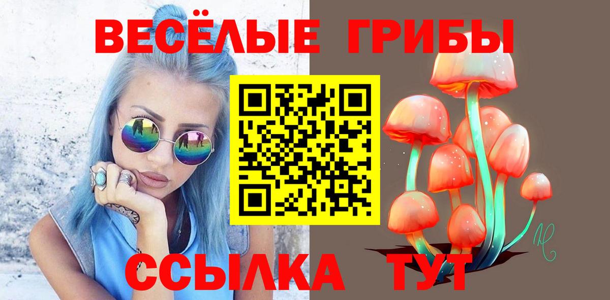 Галлюциногенные грибы Psilocybe  Вход с VPN  Сланцы 